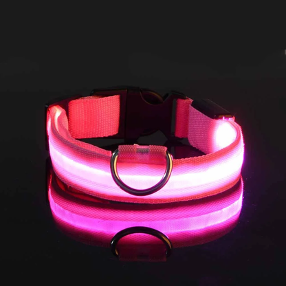 AnimarixStore™Nylon LED Night Safety Flashing Glow